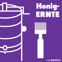 Honig-Ernte