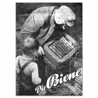 Zeitschriften - Sonderthemen