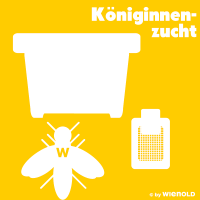 Königinnenzucht