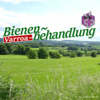 Varroa - Behandlung