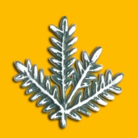Weihnachten - Kerzenverzierungen