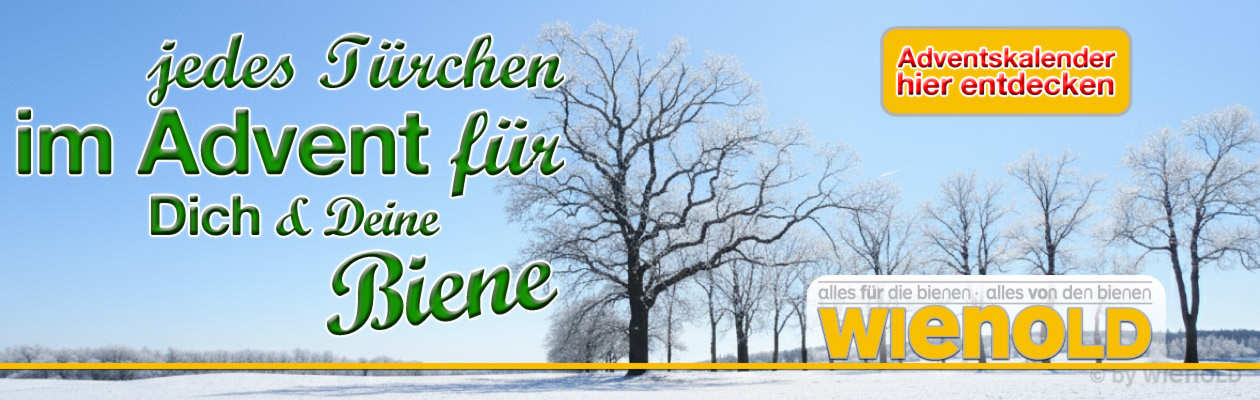 Adventskalender 2025