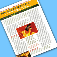 Der Flyer „Die süße Medizin“ im...