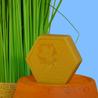 Propolis - Honig - Seife