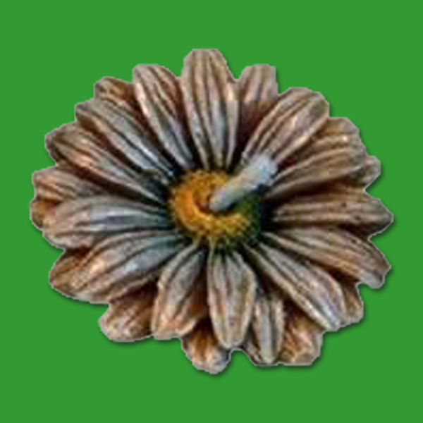 Die Blüte-Kerzengießform (2,5 x 7 cm) eignet sich ideal für filigrane Blütenkerzen. Mit einem Wachsgewicht von 42 g ist sie perfekt für zarte Akzente in jeder Deko.