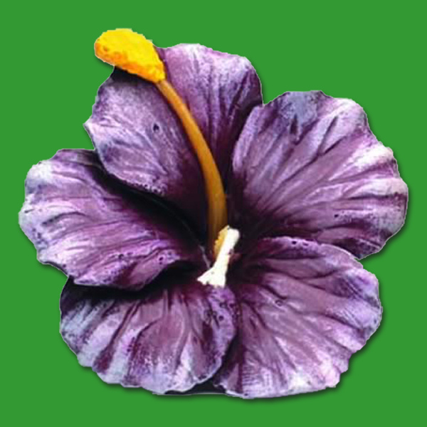 Diese filigrane Kerzengießform in Form einer Blüte ermöglicht es Ihnen, bezaubernde kleine Kerzen mit einer natürlichen, floralen Ausstrahlung zu gießen. Perfekt für Imker*innen, die ihre Produkte mit einer verspielten und dennoch eleganten Form bereichern möchten.
