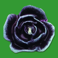 Kerzenform "Rose"  3,5 x 5,5cm
