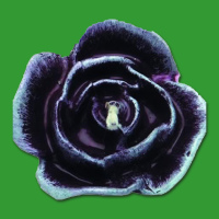 Diese Kerzengießform in Form einer Rose eignet sich...