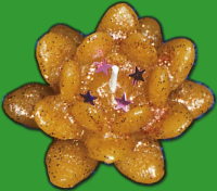 Die Schwimmkerze, Blume ist ideal für...