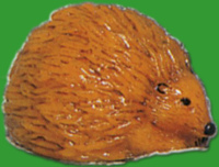Diese Gießform Igel verleiht Ihren Kerzen eine...