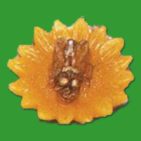 Diese charmante Gießform „Sonnenblume mit...