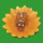 Diese charmante Gießform „Sonnenblume mit großer Biene“ ist ein Must-have für jede Imkerin, die mit Leidenschaft ihre eigenen Kerzen gießt. Die zarte Verbindung aus Sonnenblume und detailgetreu gestalteter Biene verleiht Ihren Kreationen einen Hauch von Natürlichkeit und sommerlicher Freude. Perfekt für kleine Projekte mit ca. 25 g Wachsgewicht.