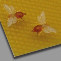 Dekorative Ansteckbienchen: Aus Kunststoff mit...