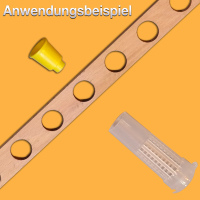 APILAT® Weiselpfropfen mit Näpfchen in einem Stück, Kunststoff, 10 Stck.