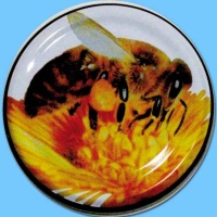 Der TO-Deckel für 500 g Honigglas mit einem Durchmesser von 82 mm zeigt das Motiv „Biene auf Blüte“. Der elegante, goldene Deckel verleiht dem Honigglas eine natürliche und ansprechende Optik, die das Bienen- und Blütenmotiv in den Vordergrund stellt.