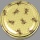 TO-Deckel für 500g-Glas, 82 mm Ø, -Wabendekor mit hellen Bienen, gold-