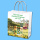 DIB - Papiertragetasche mit buntem Druck und Kordelgriff