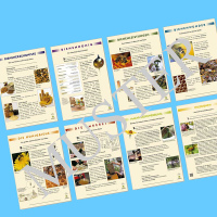 DIB - Postersatz "Naturlehrpfad", 8 Plakate DIN...