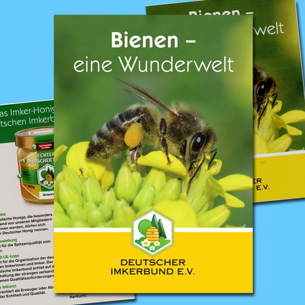 Die DIB-Broschüre Bienen – eine Wunderwelt im 10er-Pack ist ein informativer Begleiter für Imker*innen, die die faszinierende Welt der Bienen näherbringen möchten. Die Broschüre eignet sich für den Einsatz in Schulen, bei Informationsveranstaltungen oder als Geschenk an Kunden.