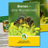 Die DIB-Broschüre Bienen – eine Wunderwelt im...