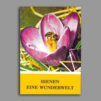 DIB - Broschüre "Bienen eine Wunderwelt"...