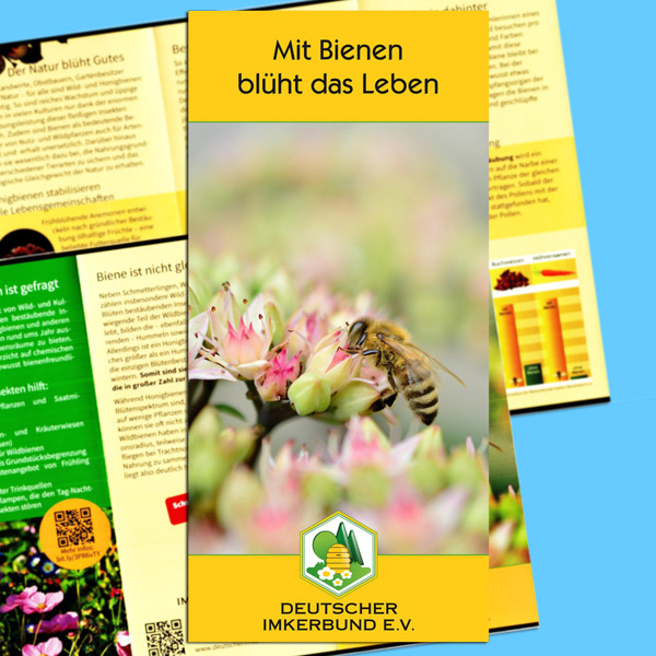 Das DIB-Faltblatt Blütenbestäubung im 8-Seiten-Format informiert über die Bedeutung der Blütenbestäubung durch Bienen. Es ist ein nützliches Tool für Imker*innen, die ihre Kunden über die ökologische Bedeutung der Bienen aufklären möchten.