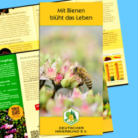 Das DIB-Faltblatt Blütenbestäubung im...
