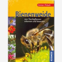 Bienenweide, Pritsch