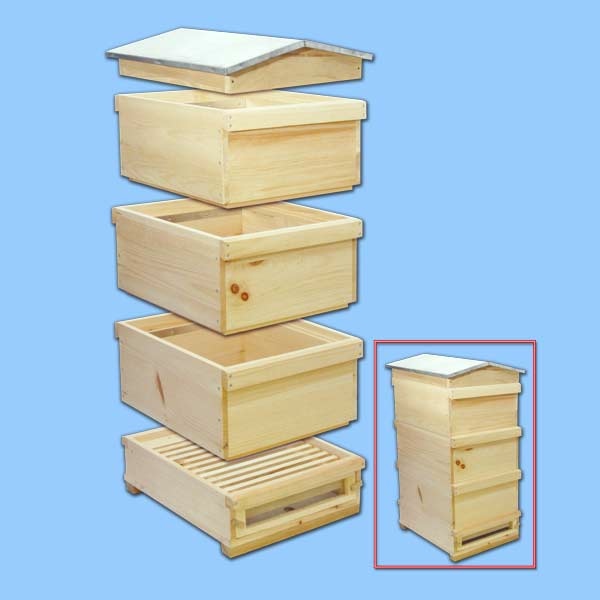 Die HEROLD-Beute mit Satteldach ist ein Meisterwerk der traditionellen Imkerei. Gefertigt aus robustem Holz, umfasst sie einen Hochboden mit Lüftungsgitter und Mausperre, drei Ganzzargen für Zander- oder DN-Rähmchen sowie ein Satteldach mit wetterfestem Blechbeschlag. Diese Beute bietet ideale Bedingungen für eine gesunde Bienenzucht und ermöglicht eine zuverlässige Varroa-Diagnose.