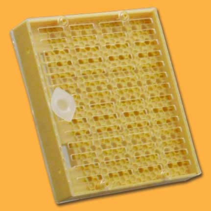 Die NICOT®-Zuchtkassette Cupularve aus Kunststoff eignet sich ideal zum Käfigen der Königin und dem Aufstecken von bis zu 110 Weiselnäpfchen. Mit einem Kunststoffabsperrgitter wird die Königin gekäfigt, während sie direkt in die Weiselnäpfchen legt.