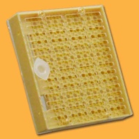 NICOT® - Zuchtkassette Cupularve, Plastik