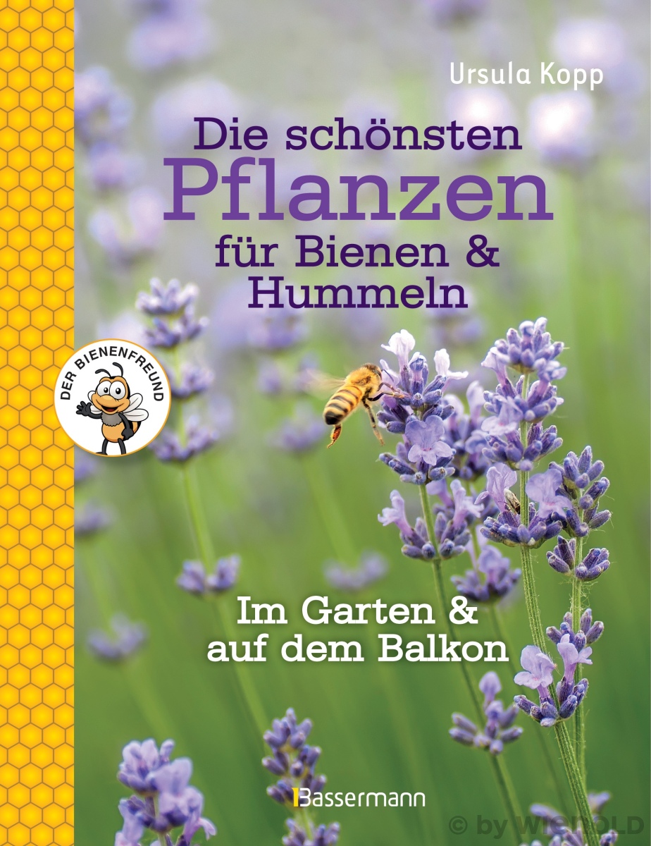 Die schönsten Pflanzen für Bienen & Hummeln, Ursula Kopp, 9,99