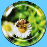 TO-Deckel für 500g-Glas, 82 mm Ø, -Biene auf...