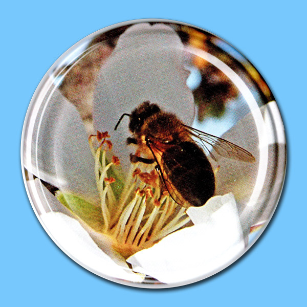 TO-Deckel für 500 g-Glas, 82 mm Ø, -Biene in Blüte-
