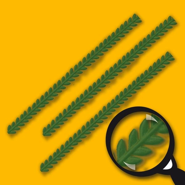 Diese grüne Deko-Borte für Kerzen kommt im praktischen 9er-Set, jeweils ca. 20 cm lang. Sie eignet sich hervorragend, um Ihren Kerzen eine festliche, naturverbundene Note zu verleihen – besonders in der Weihnachtszeit.