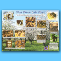 Poster "Ohne Bienen kein Obst!"