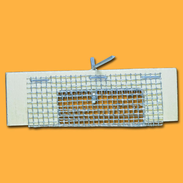 Der Zusetzkäfig aus robustem Material ist ideal, um Königinnen sicher in das Bienenvolk zu integrieren. Passend für Zander-Rähmchen, ermöglicht er eine kontrollierte und sichere Zuteilung von Königinnen in die Beute.