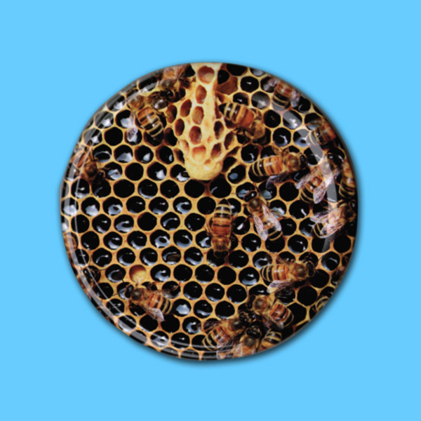 Wabe mit Bienen