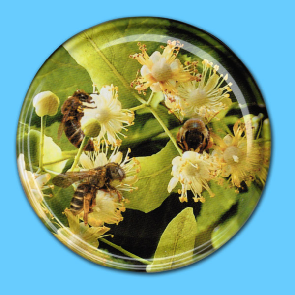 Bienen auf Lindenblüten