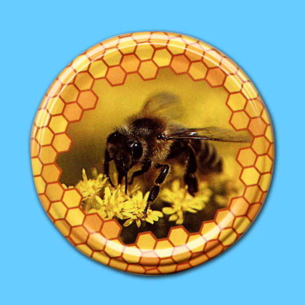 Wabenmuster-Rand mit  Biene auf Blüte